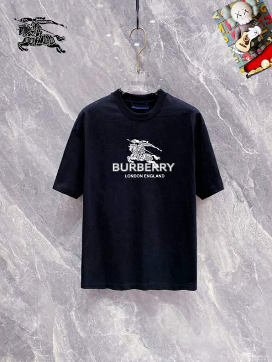 Picture of Burberry T Shirts Short _SKUBurberryS-5XL25tr2519692